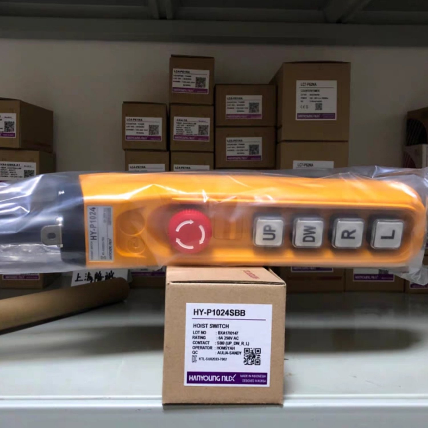 HANYOUNG HY-1024SBB Hoist Pendant Control Station (HY-P Series)