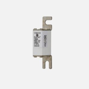 BUSSMANN 170M1319